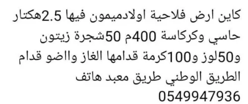 Vente Tlemcen Ouled mimoun