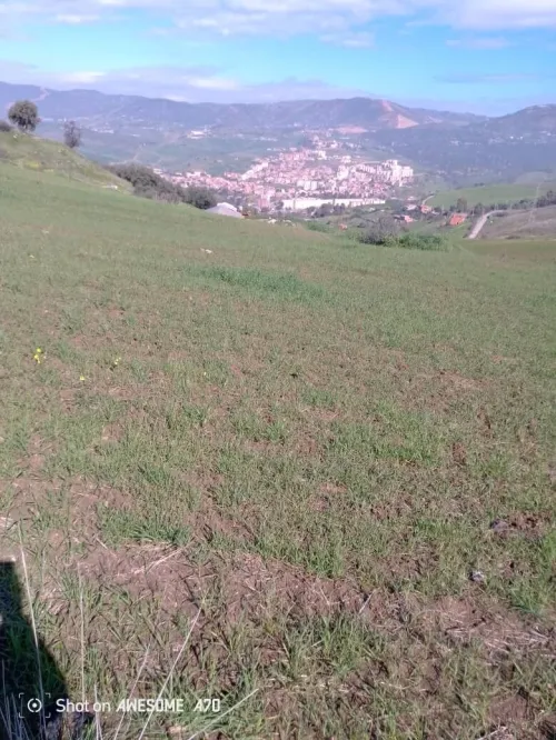 Vente Terrain Bouira Djebahia