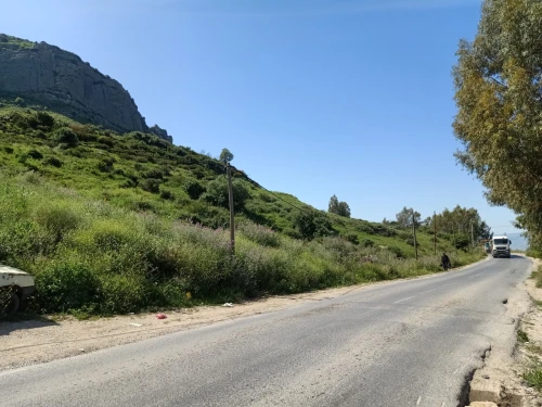 Vente Terrain Tizi Ouzou Makouda