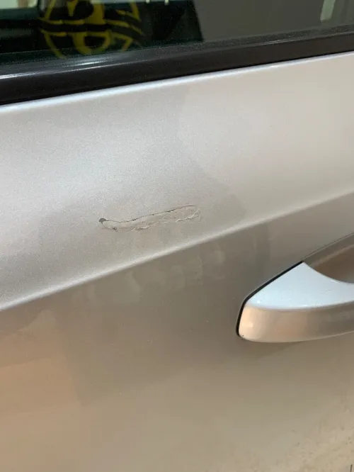 Skoda Octavia 2019 Ambition