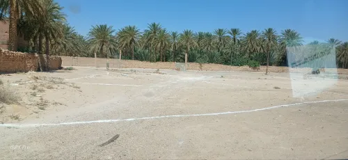 Vente Terrain Biskra Bordj ben azzouz