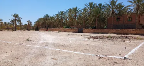 Vente Terrain Biskra Bordj ben azzouz