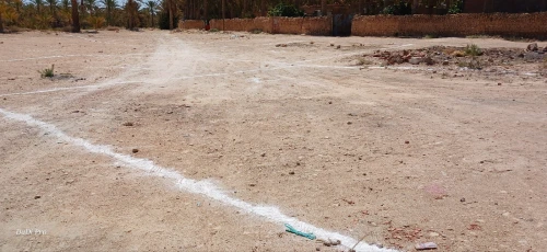 Vente Terrain Biskra Bordj ben azzouz