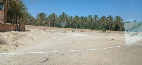 Vente Terrain Biskra Bordj ben azzouz