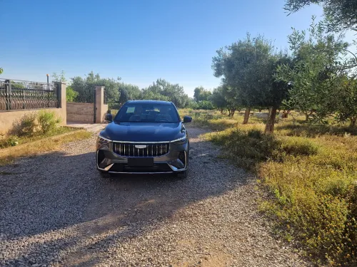 Geely Cityray  2026 Folle option