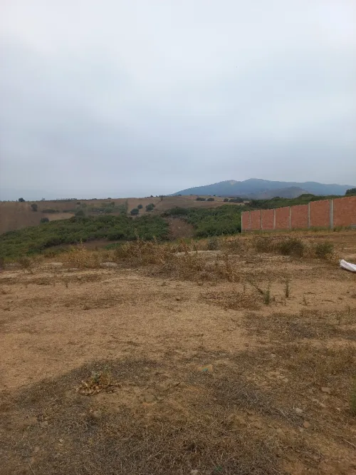 Vente Terrain Blida Djebara