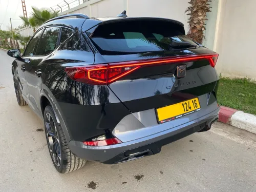 Cupra  Formentor 4motion TDI 2024 Full options 🇩🇪