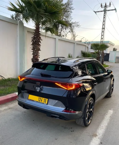 Cupra  Formentor 4motion TDI 2024 Full options 🇩🇪