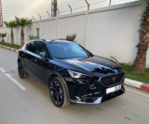 Seat Cupra formentor 2026 4x4 TDI