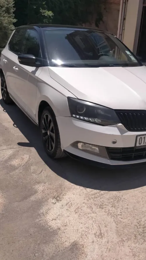 Skoda Fabia 2017 Monte Carlo