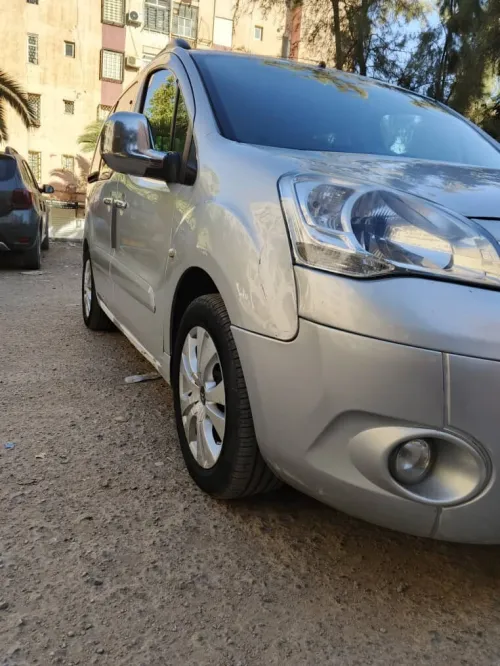 Citroen Berlingo 2009 Berlingo