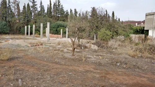 Vente Terrain Tlemcen Chetouane