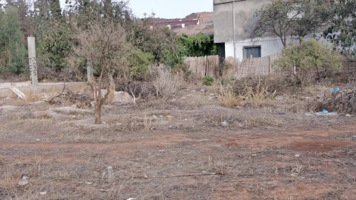 Vente Terrain Tlemcen Chetouane