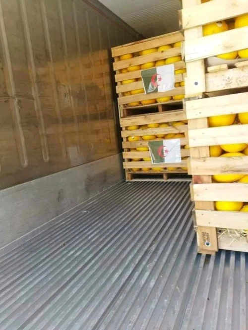Fabrication caisse en bois et palax