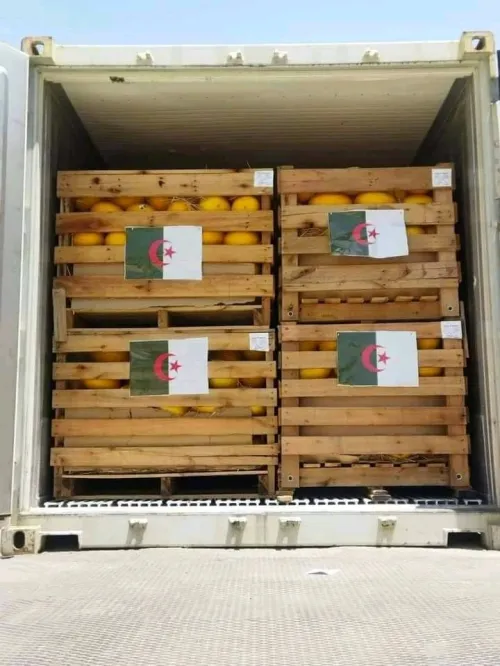 Fabrication caisse en bois et palax