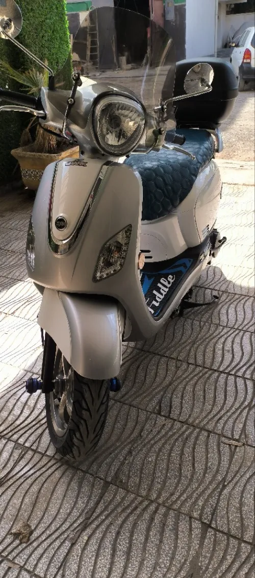 Sim Fidal 3 2024