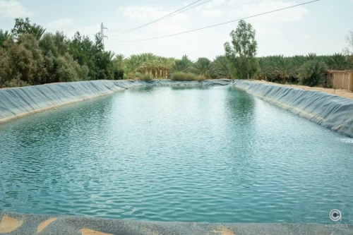 Vente Terrain Agricole Biskra Sidi okba