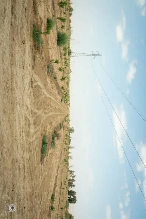 Vente Terrain Agricole Biskra Sidi okba