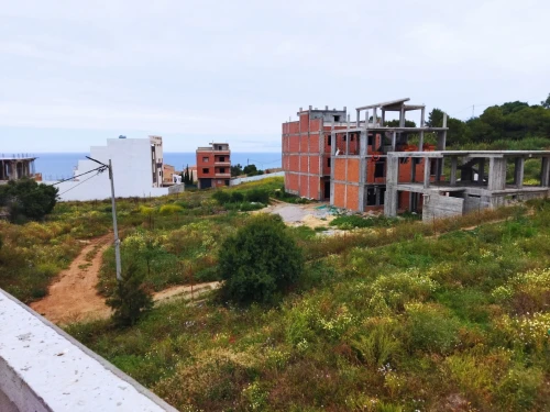 Vente Terrain Tipaza Cherchell