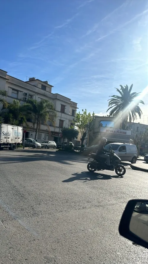 Location Local Alger Hydra