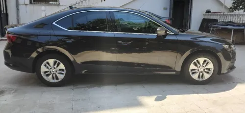 Skoda Octavia 2023 Octavia