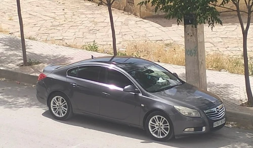 Opel Insignia 2010 OPC