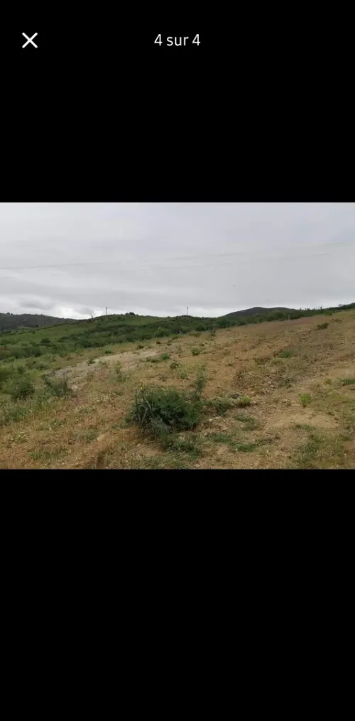 Vente Terrain Blida Djebara