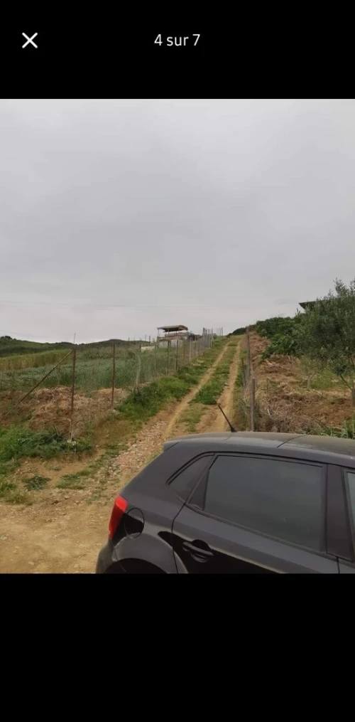 Vente Terrain Blida Djebara