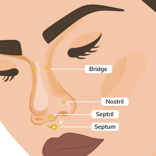Tragus et persing du bez