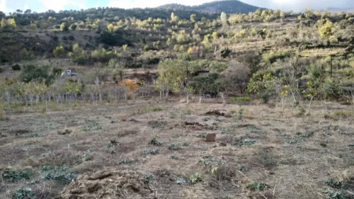 Vente Terrain Bouira Saharidj