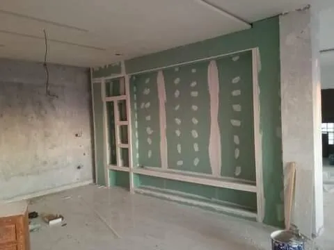 Faux palfon ,b13 , placo plâtre,  separation , + peinture +spot