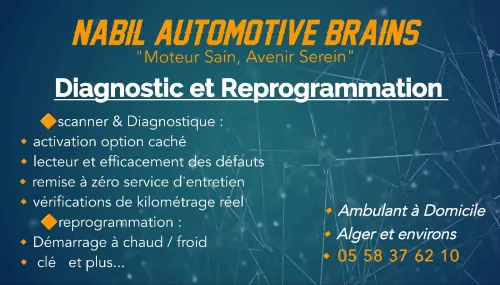 Scanner et diagnostic à domicile 
