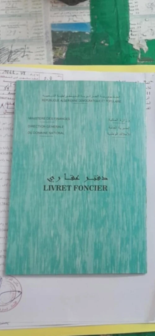 Vente Terrain Alger Rouiba