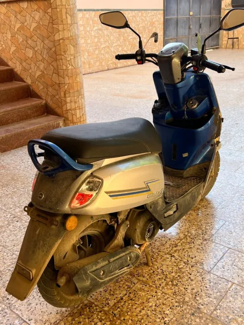 Cuxi Cuxi 2023
