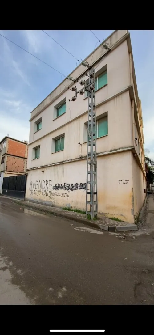 Vente Hangar Blida Beni tamou