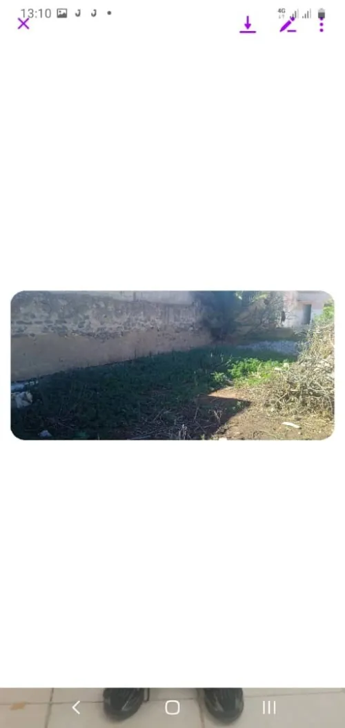 Vente Terrain Aïn Témouchent Chaabet el ham
