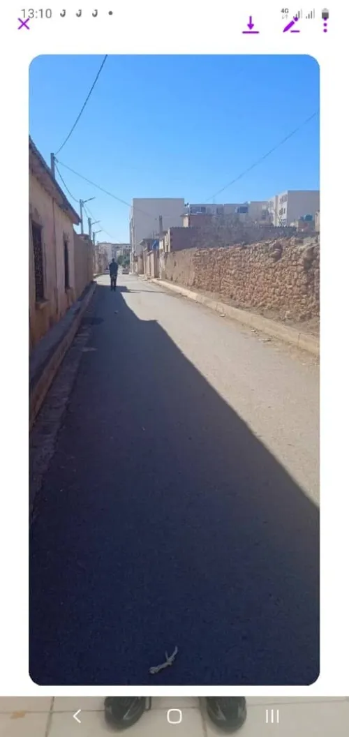 Vente Terrain Aïn Témouchent Chaabet el ham
