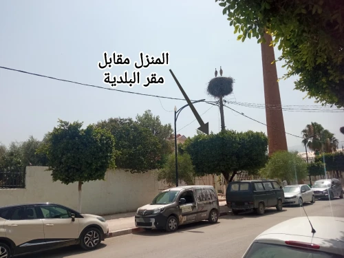 Vente Terrain Blida Bougara