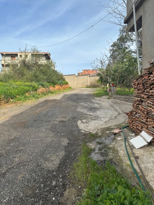 Vente Terrain Alger Saoula 3