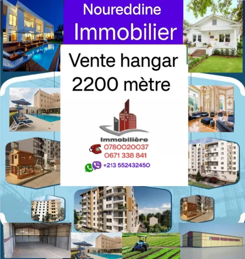Vente Hangar Tipaza Sidi rached