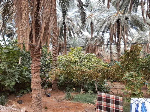 Vente Villa Ghardaïa Metlilli