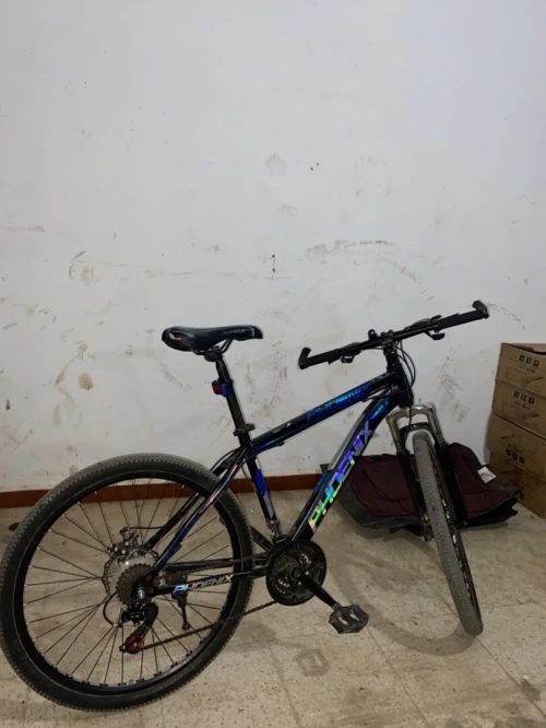 Vélo phoenix