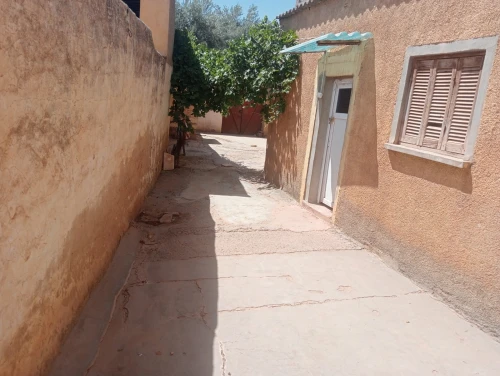 Vente bien immobilier Sidi Bel Abbès Boukhanafis