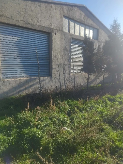 Location Hangar - Usine Batna Ouyoun el assafir