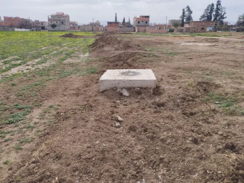Vente Terrain Chlef Oued fodda