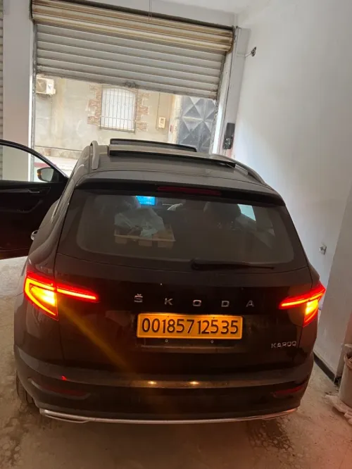 Skoda Karoq 2025 Luxery