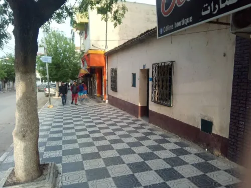 Vente Appartement F4 Skikda El harrouch