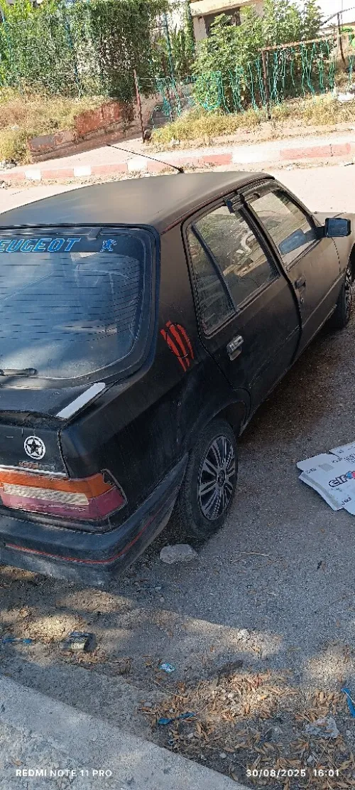 Peugeot 309 1988 309