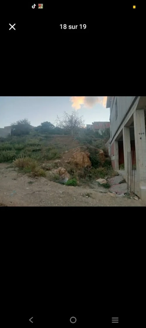 Vente Terrain Tipaza Cherchell
