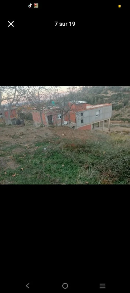 Vente Terrain Tipaza Cherchell